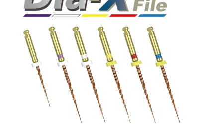 Dia-X Rotary Files